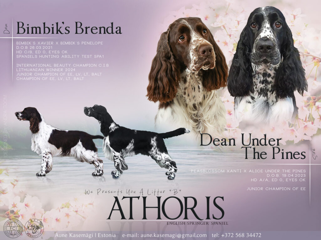 athoris pesakond b scaled.jpg