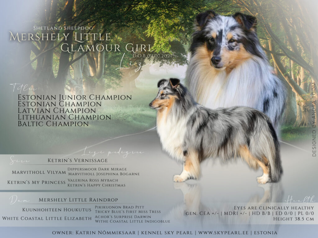 mershely little glamour girl scaled.jpg